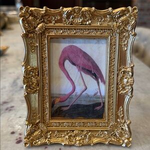 Gold Ornate Frame with Audubon Flamingo Artwork